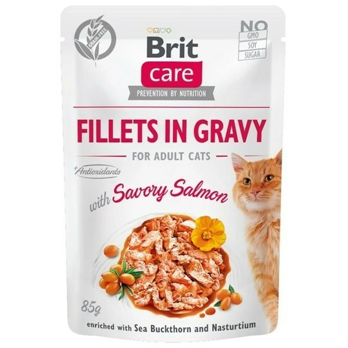 COMIDA PARA GATO BRIT CARE POLLO SALMÓN