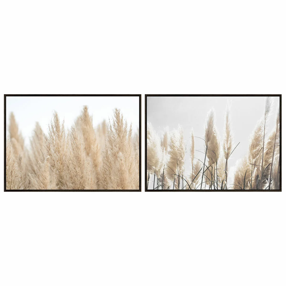 CUADRO DKD HOME DECOR 123 X 4,5 X 83 CM 83 X 4,5 X 122,5 CM PLUMERO COTTAGE (2 UNIDADES)