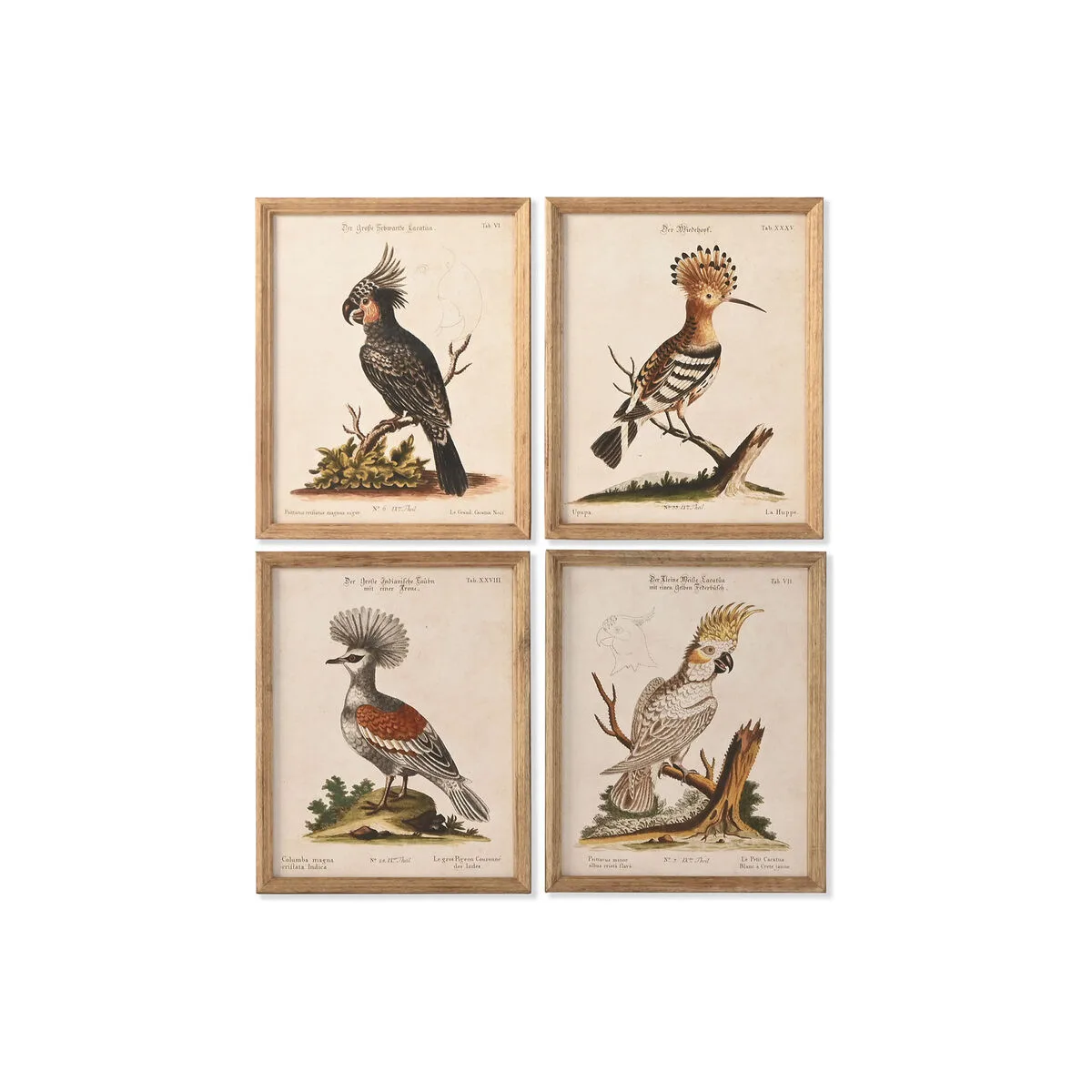 CUADRO HOME ESPRIT BEIGE TROPICAL 40 X 2 X 50 CM (4 UNIDADES)