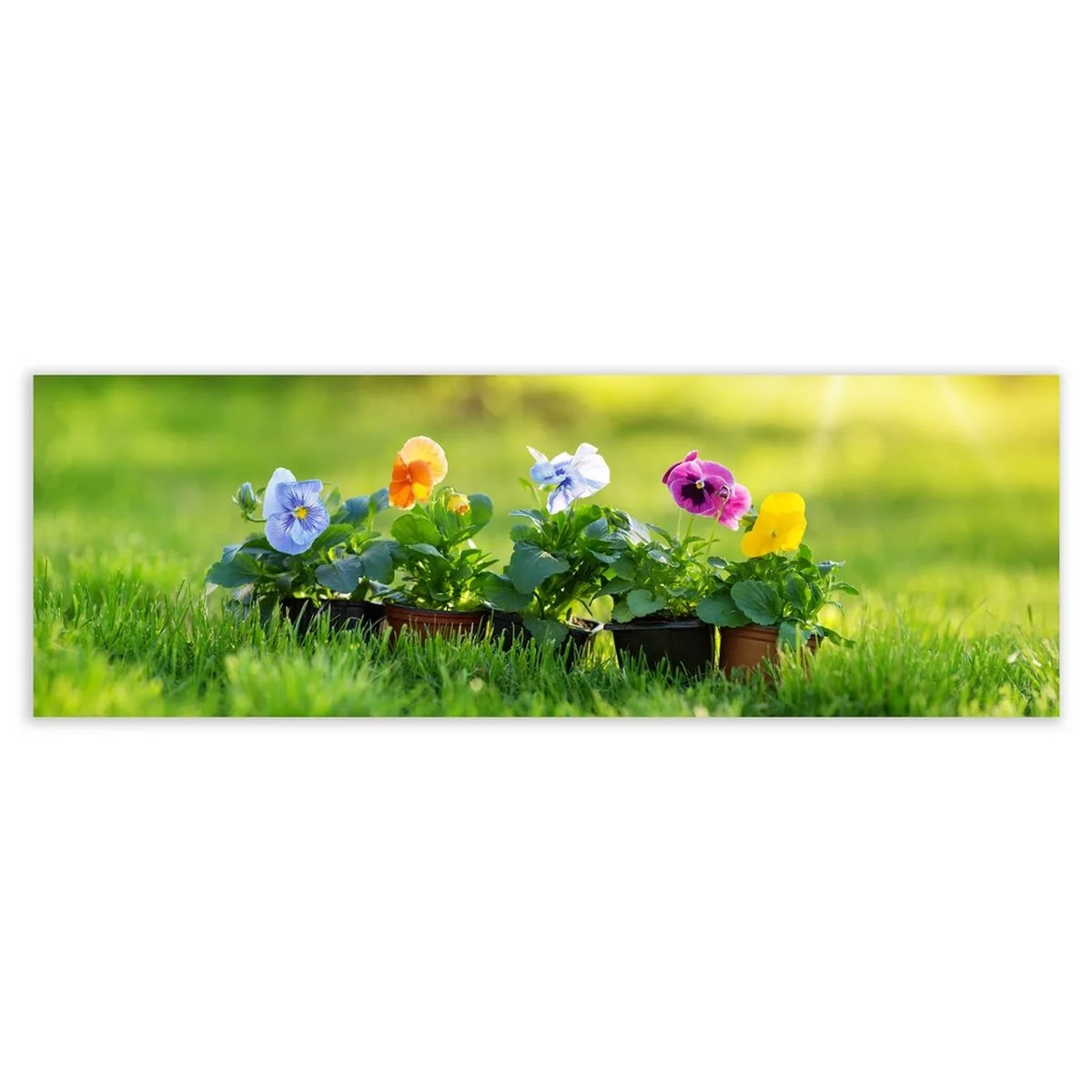 CUADRO VERDE 150 X 3 X 50 CM