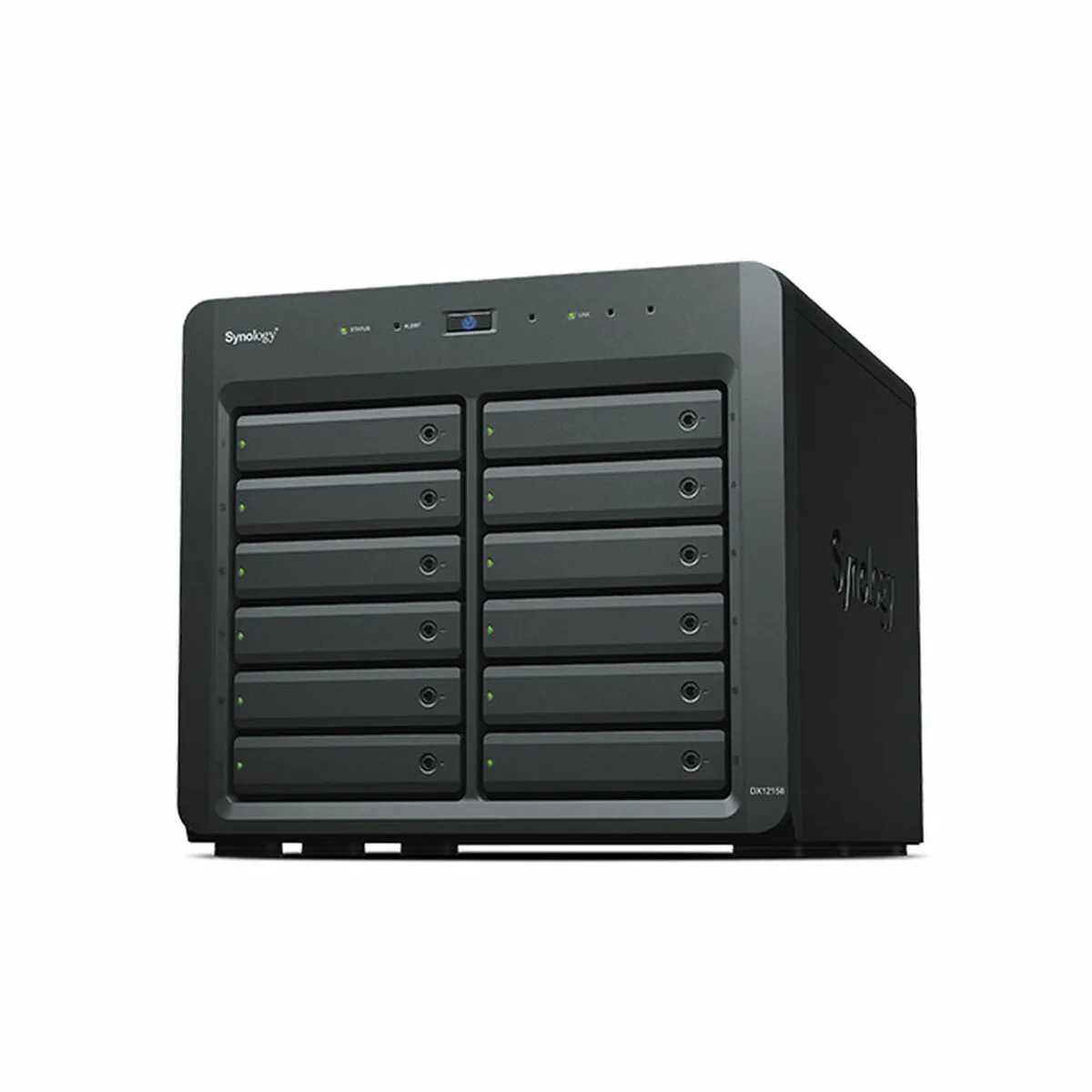 TARJETA CONTROLADORA RAID SYNOLOGY DX1215II NEGRO