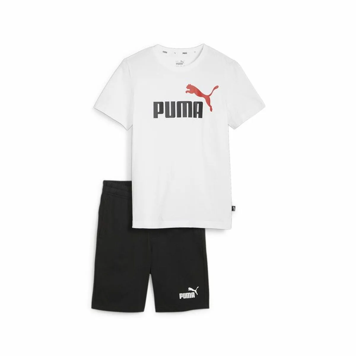 CONJUNTO DEPORTIVO PARA NIÑOS PUMA ESSENTIALS