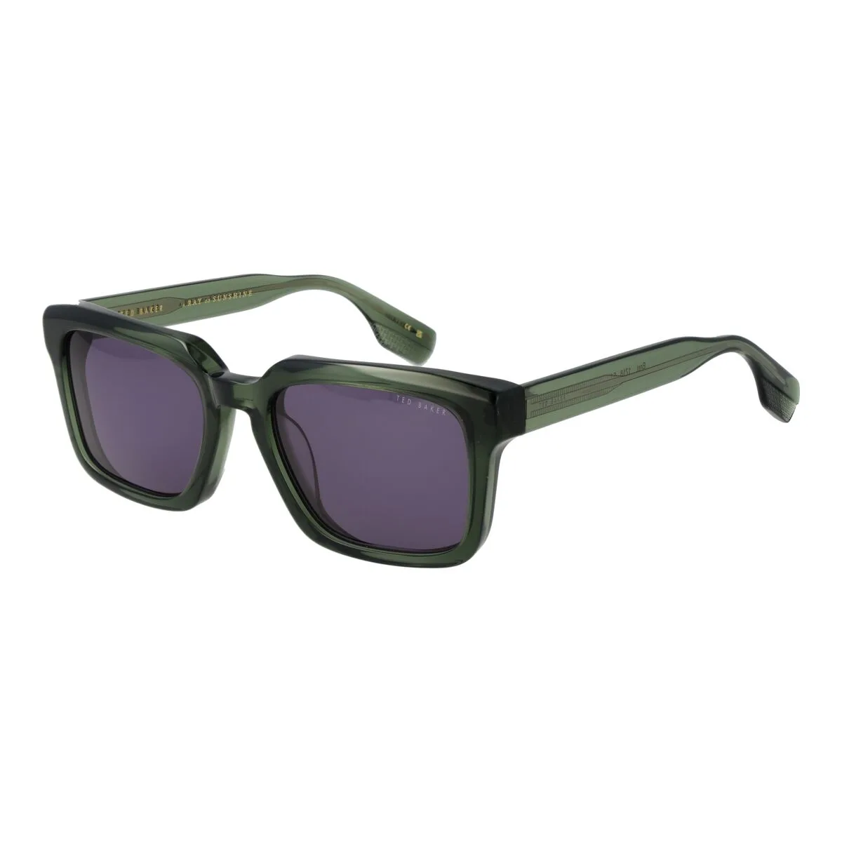 GAFAS DE SOL HOMBRE TED BAKER TB1718 54546