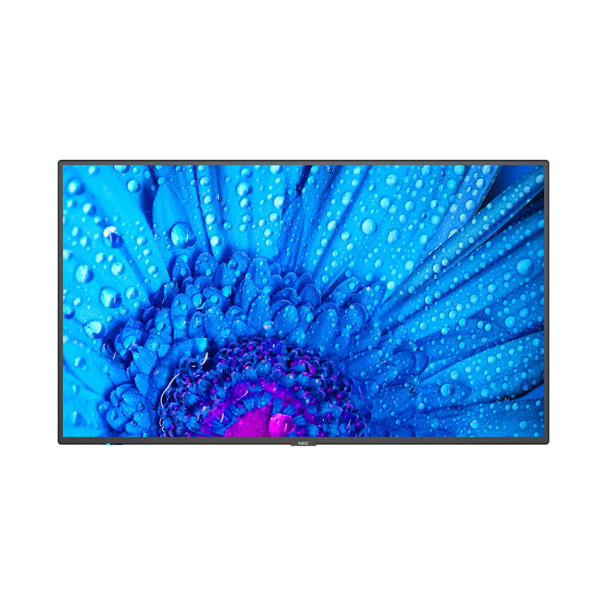 MONITOR VIDEOWALL NEC M431 4K ULTRA HD 43" 240 HZ 60 HZ