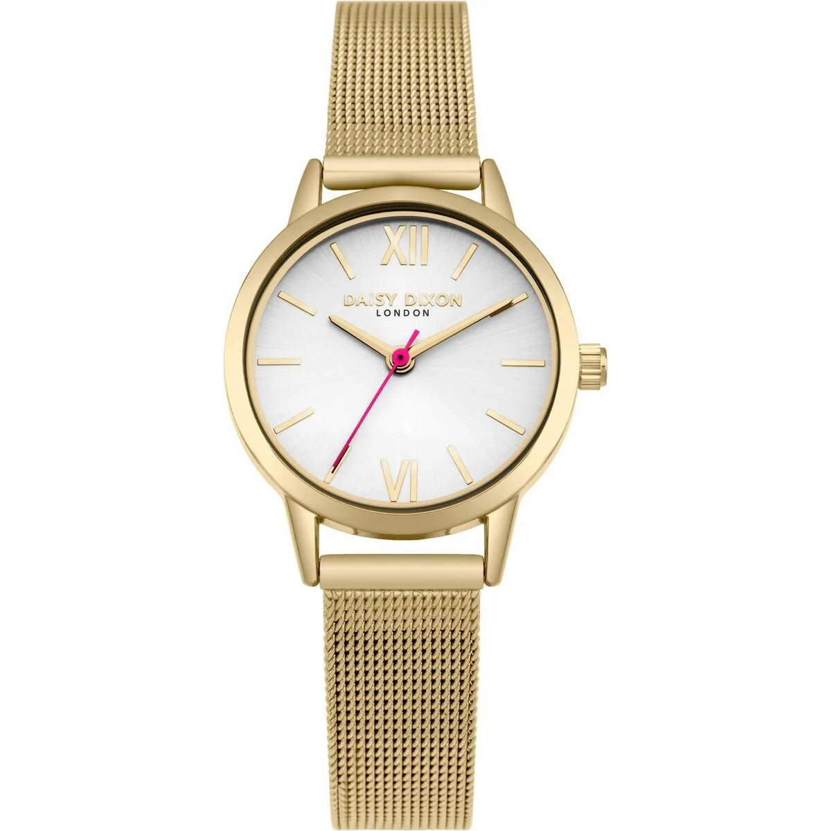 RELOJ MUJER DAISY DIXON DD069GM (Ø 26 MM)