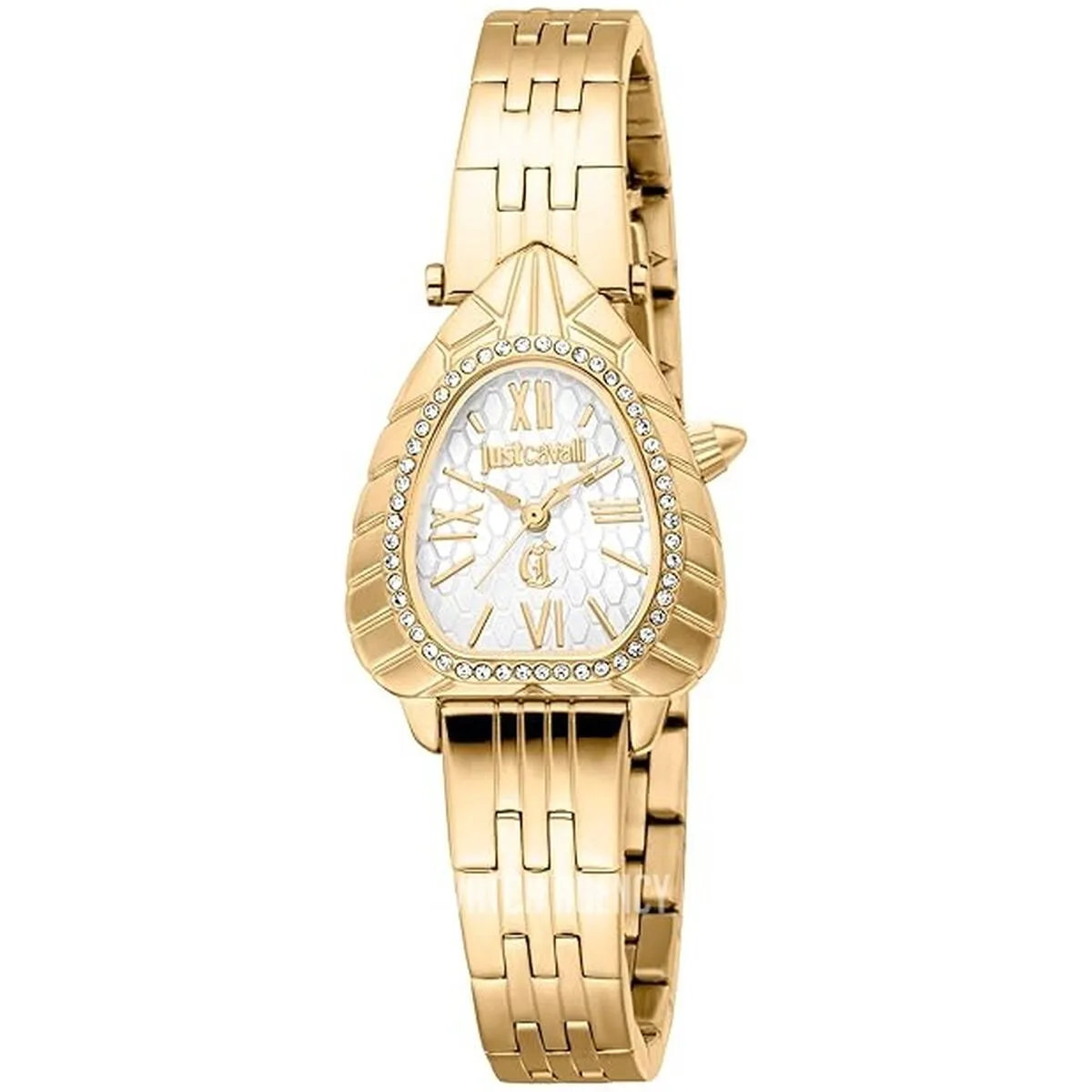 RELOJ MUJER JUST CAVALLI PERLA DORADO (Ø 24 MM)