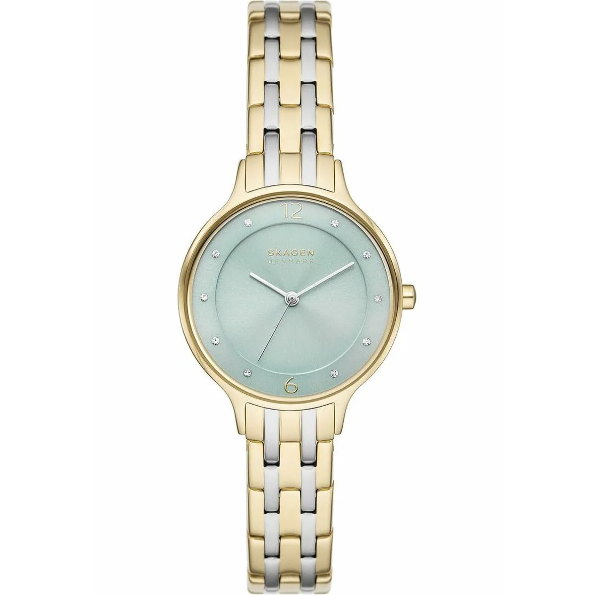 RELOJ MUJER SKAGEN SKW3132
