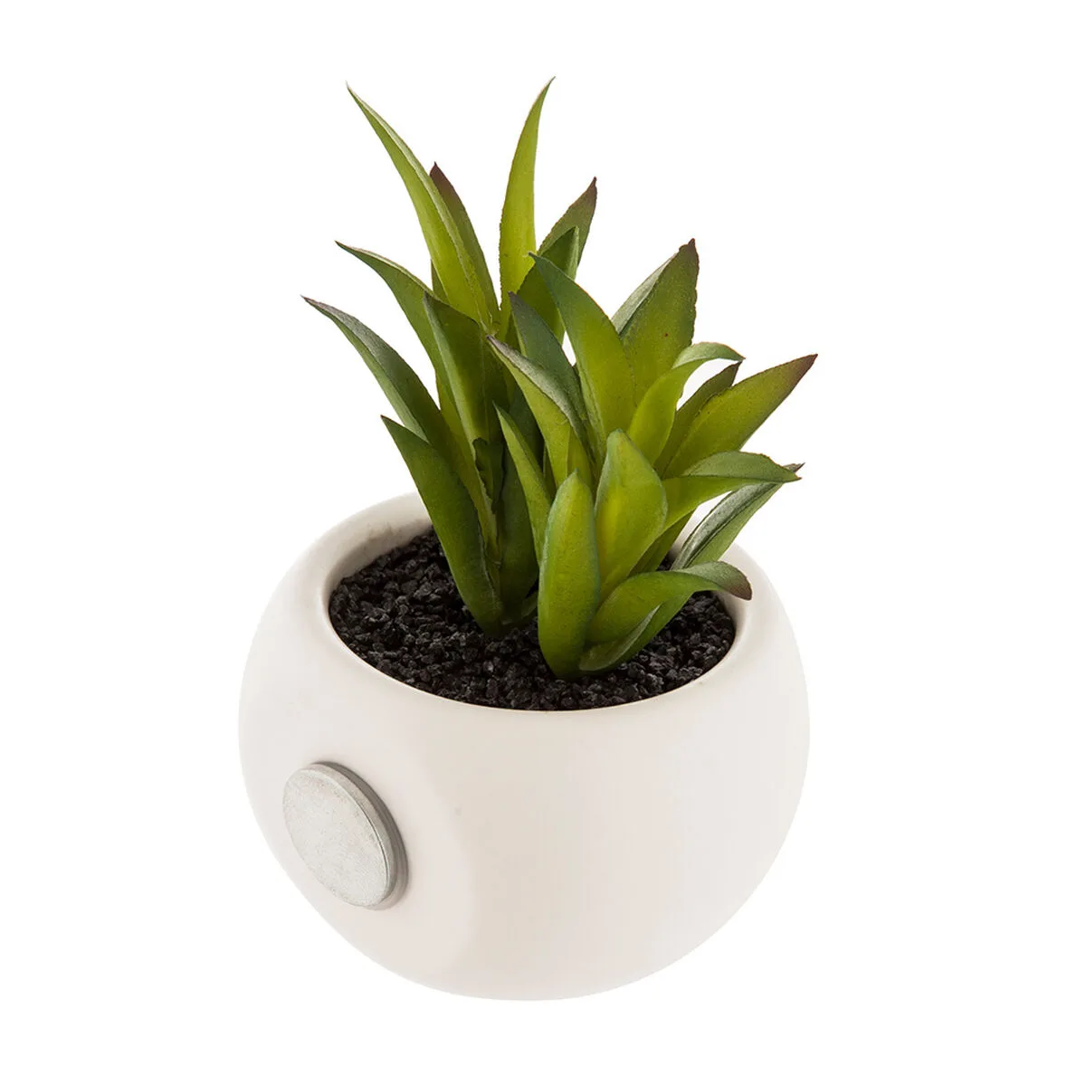PLANTA DECORATIVA ATMOSPHERA IMÁN VERDE PVC