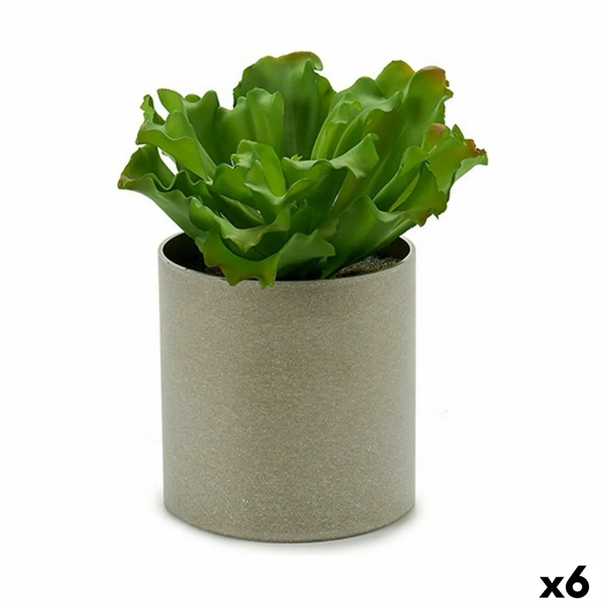 PLANTA DECORATIVA IBERGARDEN YC181588 20 X 25 X 20 CM (6 UNIDADES)