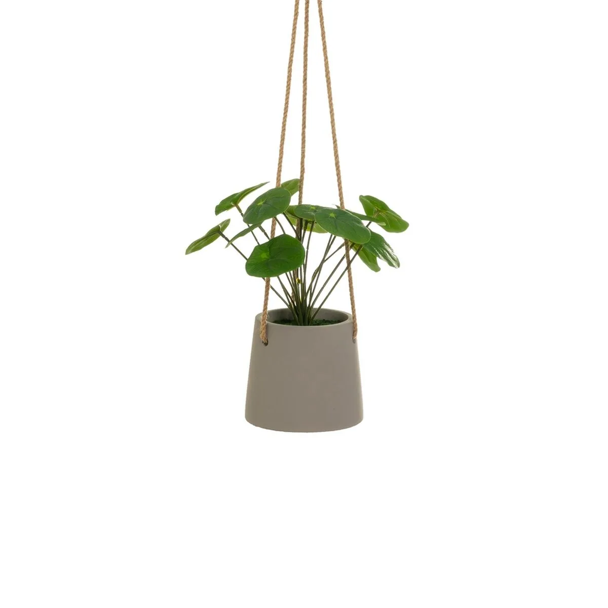 PLANTA DECORATIVA POLIETILENO CEMENTO 23 X 19 X 24 CM