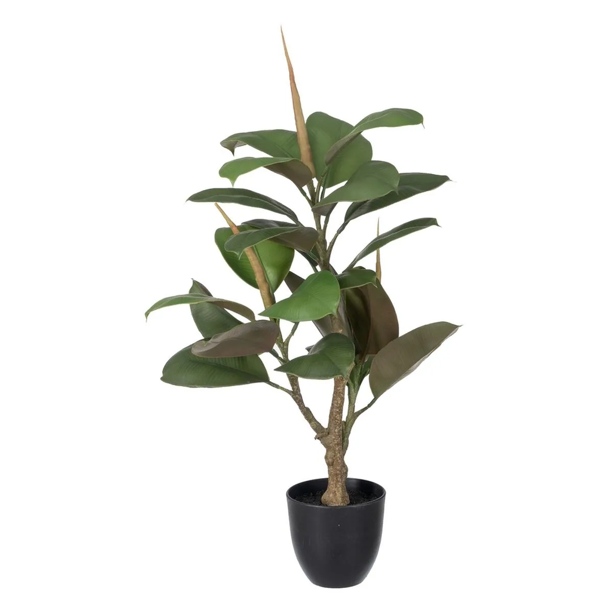 PLANTA DECORATIVA POLIETILENO HIERRO PEVA ROBLE 76 CM