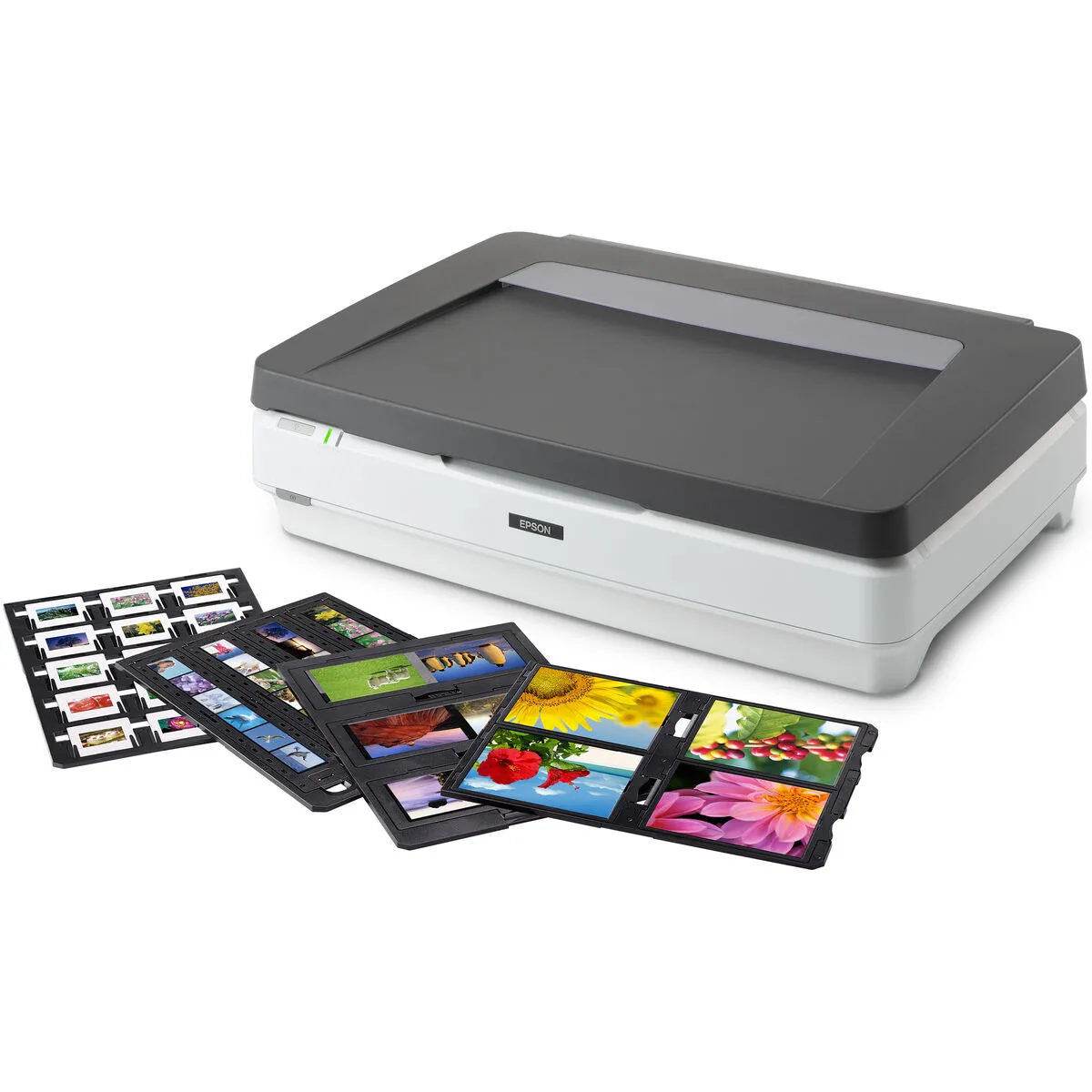 ESCÁNER EPSON B11B257401BT