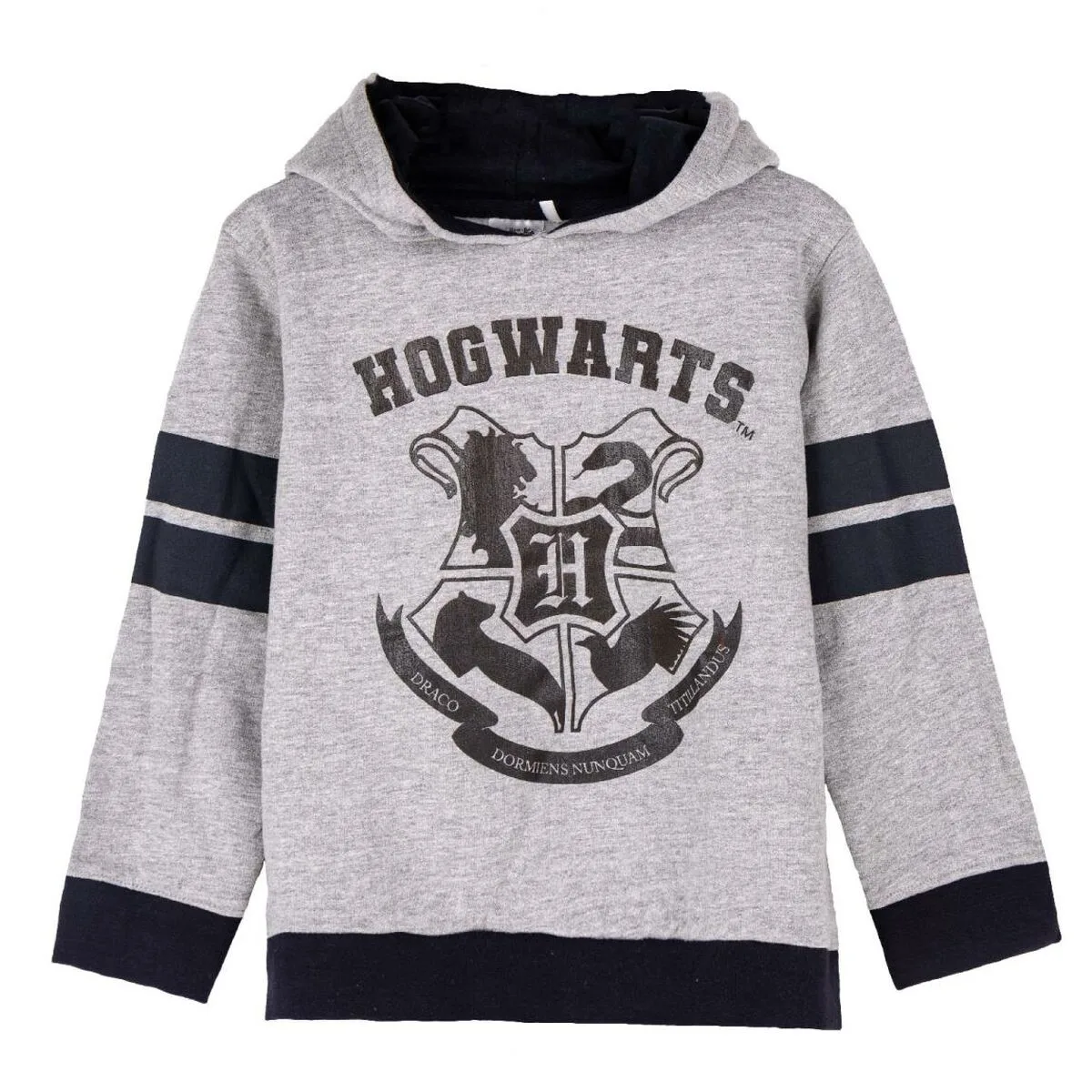 SUDADERA CON CAPUCHA NIÑO HARRY POTTER GRIS