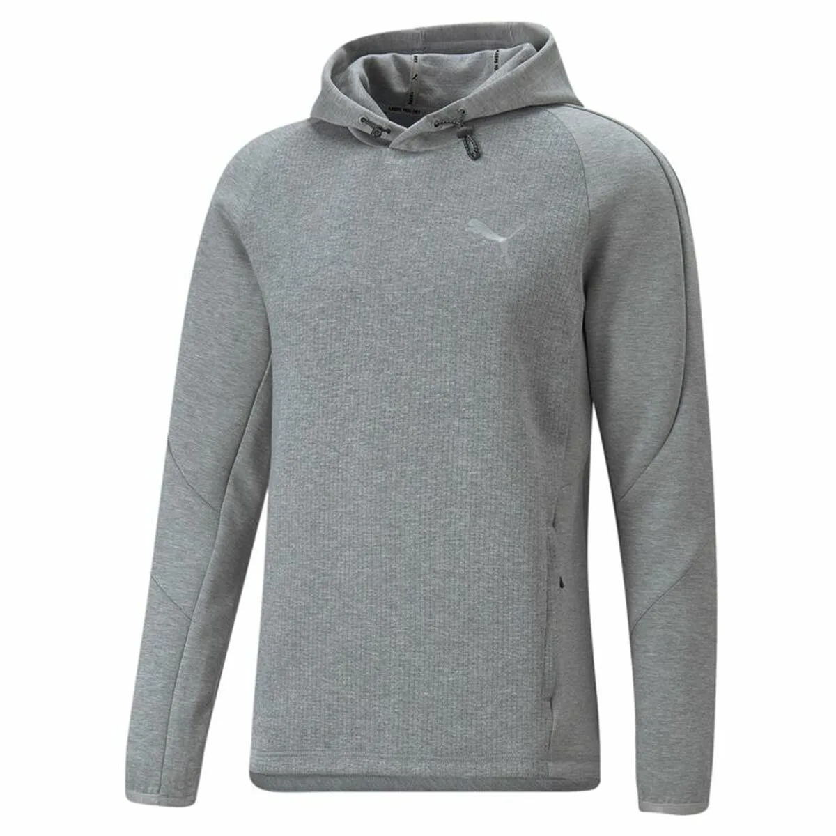 SUDADERA CON CAPUCHA HOMBRE PUMA EVOSTRIPE GRIS