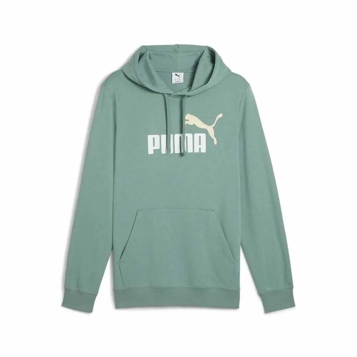 SUDADERA CON CAPUCHA HOMBRE PUMA PUMA ESSENTIALS 2 COLOR NO. 1 LO VERDE AGUAMARINA