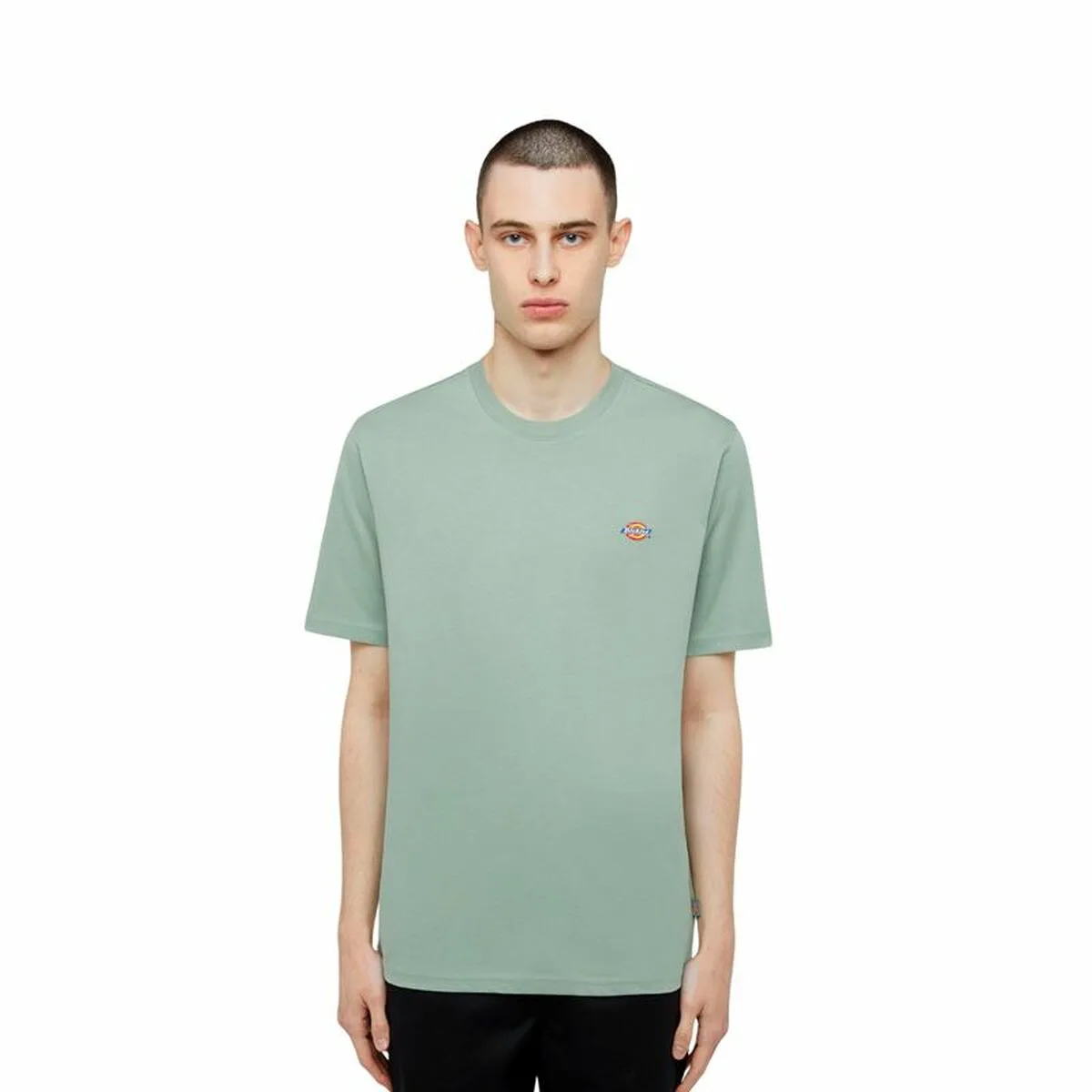 CAMISETA DE MANGA CORTA HOMBRE DICKIES SS MAPLETON TEE VERDE