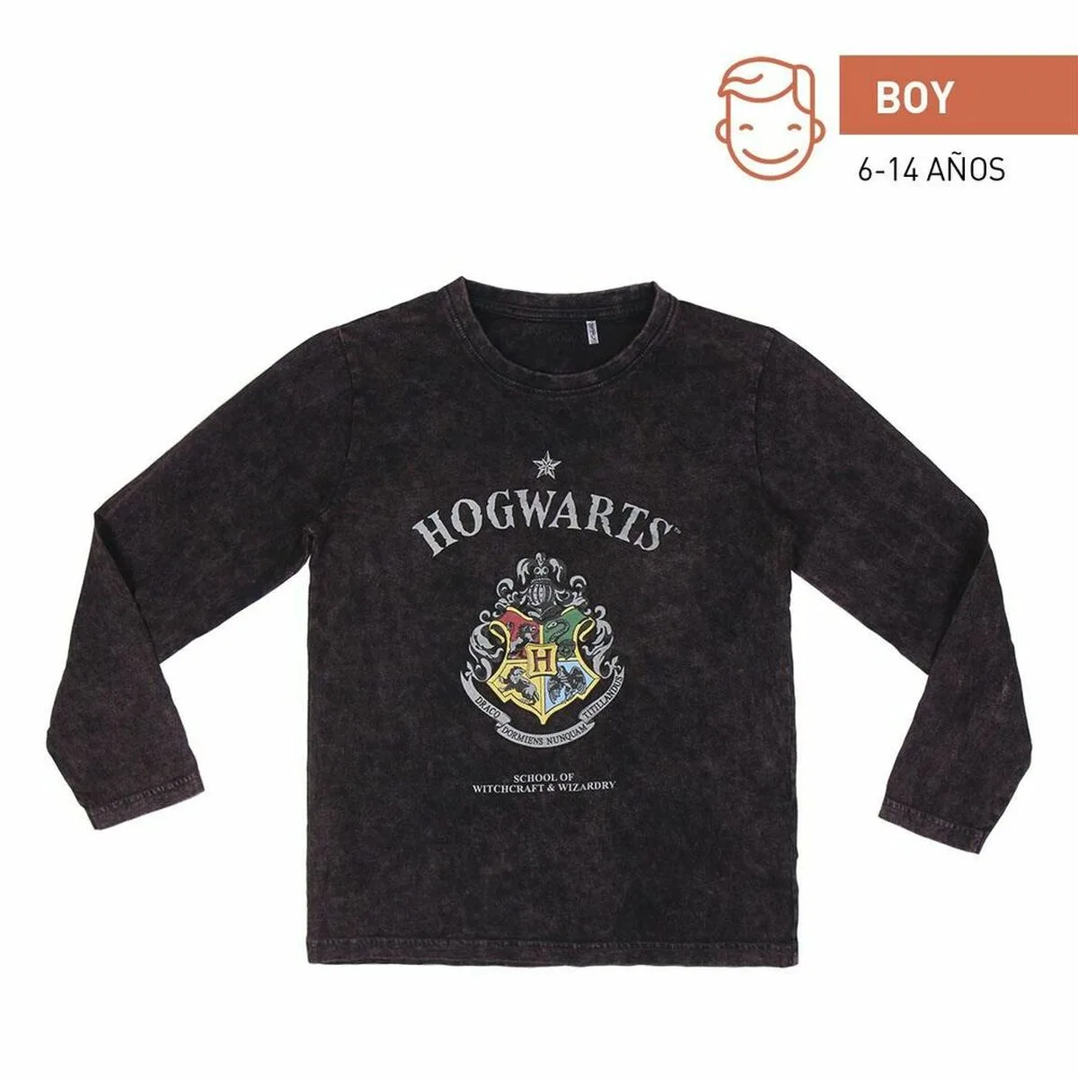 CAMISETA DE MANGA LARGA INFANTIL HARRY POTTER GRIS OSCURO 10 AÑOS